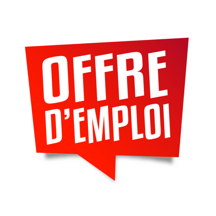 OFFRE D’EMPLOI