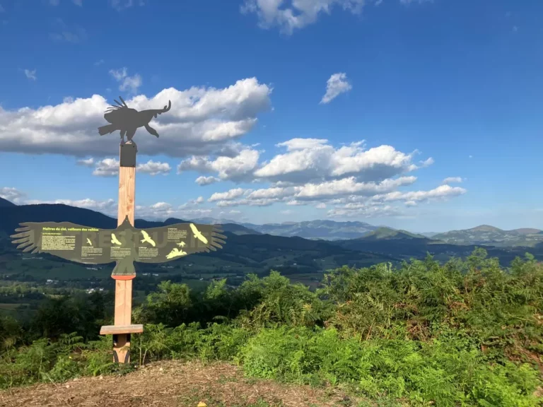 Sculpture de vautour en bois sur la crête, face aux montagnes