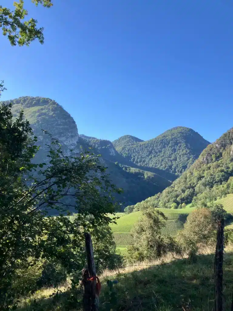 Vallée encaissée entre les falaises
